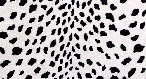 Kunstseide Dalmatiner ±1 mm