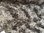 Mohair limitiert Batik Spitzer-Knautsch-Wirbel grau-beige-schwarz ±15 mm