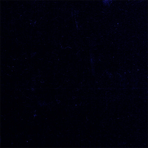 Wollfilz blau 20 x 30 cm x 1,2 mm