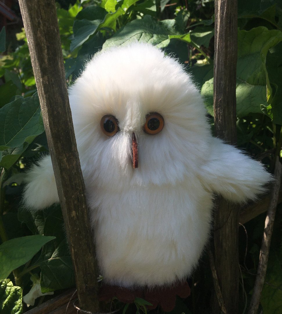 Craft Kit Snowy Owl Ilse Large